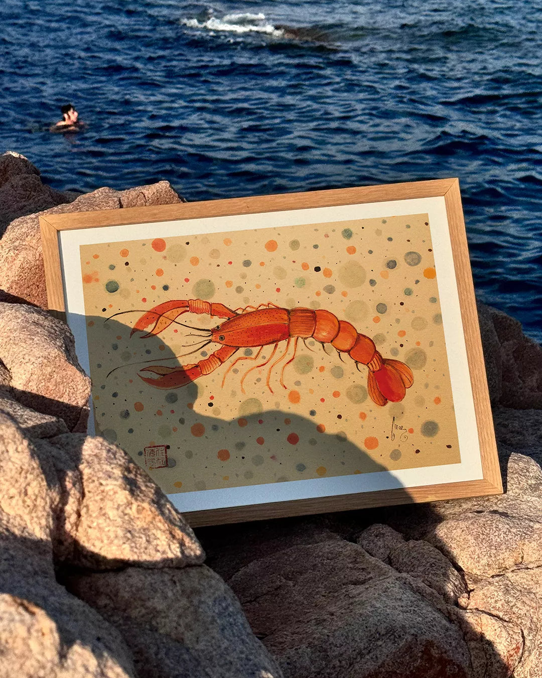 Una lámina de una cigala decorativo